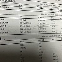 懂的各位宝妈们帮忙看下、孕前检查结果没有乙肝、风疹抗体怎么办？必须接种吗？