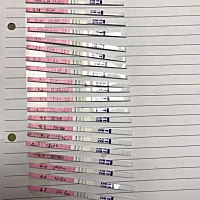 麻烦大家帮我看看这个月是不是没有强阳啊😢