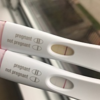 上面那个是两天前验的 下面那个是今天晚上验的 这样是有了吗 可是很淡很淡 验血的话有要求是同房后多久...