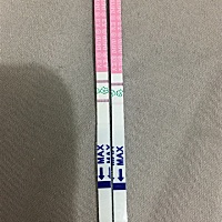 排暖期测试到强阳后，第二天怀孕的几率大吗？昨天晚上9点测试到强阳，今天开始转弱，不知道今天晚上同房...