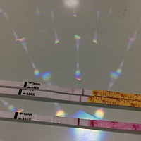 末次月经3月4日，现在月经还没有来，4月5日LH试纸测试阳性，同时也测试了HCG但还是不敢确定，美女们能帮...