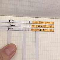 隔天加深了点。希望不要生化