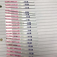 求宝宝们帮我看看什么时候排卵啊