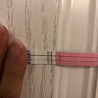 排卵后第六天和第七天的排卵试纸，怎么越来越淡了，是不是怀孕没希望了。
