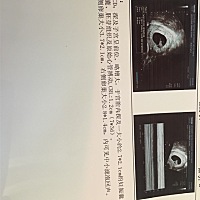 能看出男女吗？