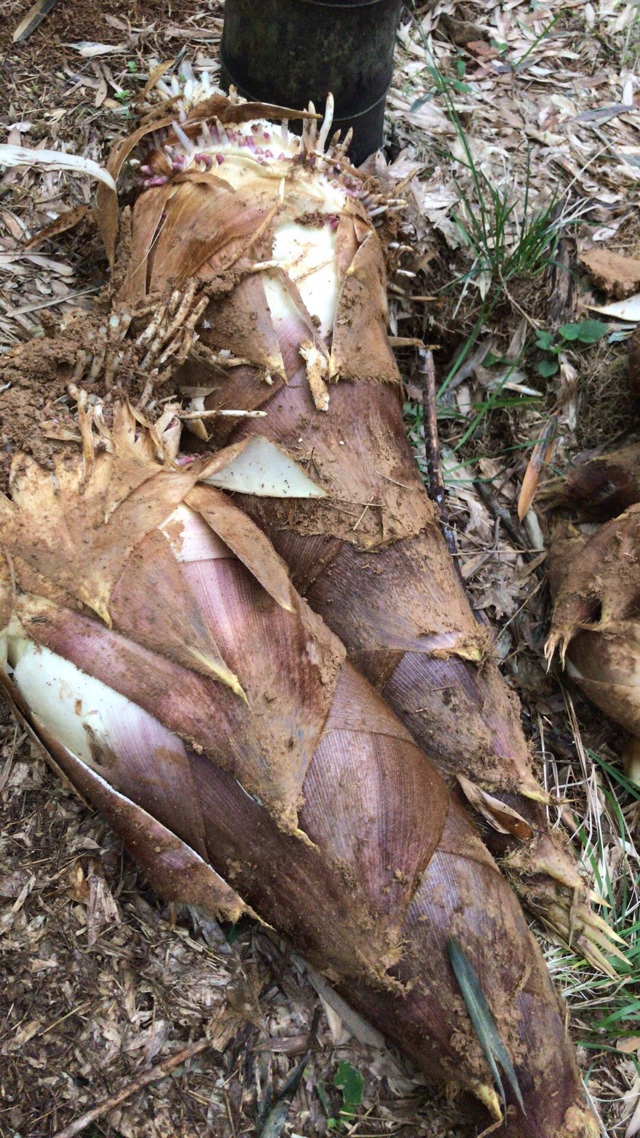 自己的战果只是如此，但也是心满意足l