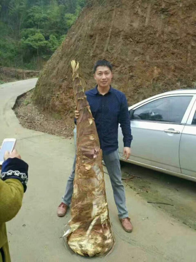 这颗不是一般大哈...