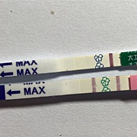 3.29排卵，这算是意念灰吗