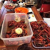 还没生，那就多吃点发作