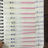 月经完的第四天开始测的排卵一直都是两条线 有没有人是一样的