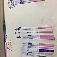 都是排卵试纸哈哈