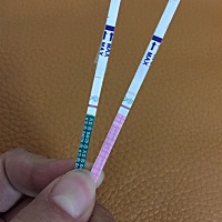 月经推迟了两天，今天用排卵试纸和早早孕试纸测试了，十几天前已经排卵了，为什么试纸试纸今天还试出来...