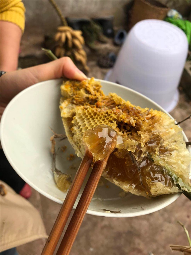 蜂巢挑起满满的蜜