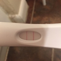 3月22号月经，现在刚测出来图片这样子，是不是在排卵了，那现在就同房怀孕机率大吗？这是排卵棒哦