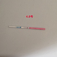 前两张是昨天的，后两张是今天的，能看出颜色深一点吗，什么时候才能强阳啊，等的我好捉急。