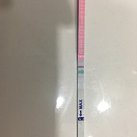 看看排卵期正常吗