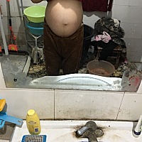 看看男宝 女宝 快卸货了