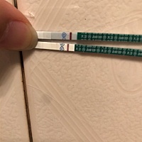 好像炸糊了。昨天兴奋一晚睡不着，大清早起来直奔厕所测好孕，结果炸糊了。好难过。第一根是今早的，二...