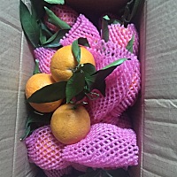 刚收到的一箱橙子🍊孕妈们如担心便秘就多吃橙子🍊哦😊，我有时一天吃三四个😻，没有出现过便秘...