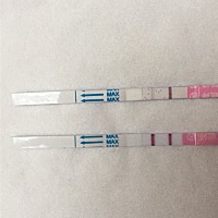 🙈各位小姐姐，我是不是测到强阳了（这是排卵试纸）