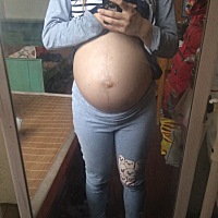 肚子圆还是尖？ 自己看不出来