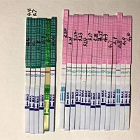 姐妹们帮我看下到底哪天排卵的，软件说29号，后来的7号怎么回事，又排卵了？