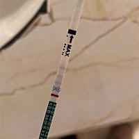 上个月炸了胡！可是我也算不清日子，我也没测排卵，我也记不清同房日子！一般多久能测出来！