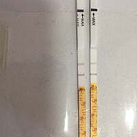 用秀儿测排卵两天都这样，大卫还是浅浅的，是秀儿太灵敏了么……现在早孕测不出来