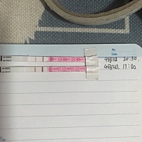 有用金秀儿测排卵的嘛，准不准啊