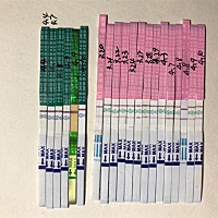 我这到底几号排卵的，显示是28号