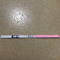 姐妹们，这样是不是，排卵起啊？不懂看，请教大家，谢谢