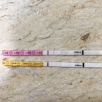 看到好多人用排卵试纸测怀孕，不懂是什么原理，自己试了试，排卵试纸弱阳，早早孕还是大白板，今天该来...