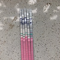 4.13今天排卵试纸颜色慢慢深了，是不是卵泡发育呢～