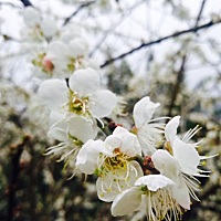 到了那一天 也许会明白 真正需要的不是轰轰烈烈的爱情 只是想要一个不会离开你的人