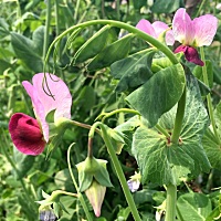 你还是你，我还是我，你我在一起的时候是爱情。但是独立开来，我们还有各自的人生，爱情之余，我们也都...