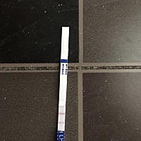 我可能就是三那个三 四个月才排卵的另类 请问什么时候同房合适