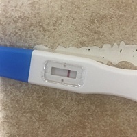 月经迟到了4天了，测了一下依旧一道杠，姨妈感时有时无，啊啊啊啊……意念灰也没有的，又白费了～