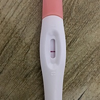 排卵期同房。现在第七天了还没明显的。各位大神这什么原因呢？