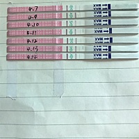 漂亮的宝妈们，借你们的火眼金睛帮我分析下这个排卵试纸的颜色变化，我都给整懵了，平时月经不准，提前...