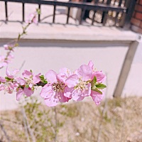 我喜欢春天的花夏天的树秋天的黄昏冬天的阳光和每天的你……谢谢爸爸接受小家伙的存在，谢谢爸爸每天对...