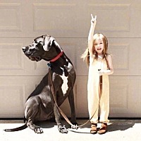 排卵期怎么算，用测试纸几点最好