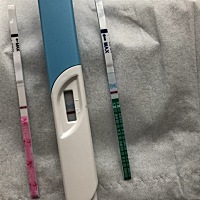 姐妹们帮忙看看，秀儿昨天测有印，今天用大卫秀儿都测了，秀儿却白版啦，大卫有印，哪种试纸准确度高一...