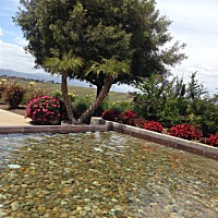 知道怀孕时候开始吃叶酸 ：现在13周了还没有吃满三个月 ；各位亲们 是不是要吃满90颗叶酸 一天一颗是不...