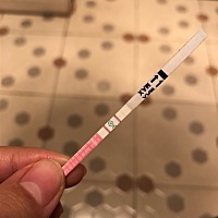 第一张是昨天强阳排卵，今天就彻底这么弱了，就一晚变得也太快了吧，昨晚同房了，不知道怎么回事