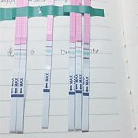 这是不是就是强阳了，现在就应该同房了吗？