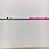 第一天有验到两条线，一条很淡，第二天起来就白板了，这是什么情况