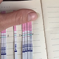 排卵了吗？一夜之间就变浅了，有这么快排卵的吗？