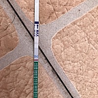 大姨妈每个月都推迟，又推迟两天，这个月又失望了，这么努力🤷🏽‍♀️