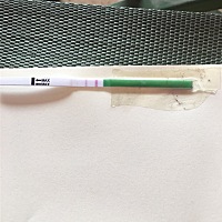 打算要孩子，月经周期40天！今天用排卵试纸测了下是这样的！有像我这种情况的姐妹吗？孕前三个月吃叶酸...