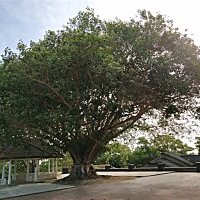 各位宝妈们，孕期用什么牌子护肤品比较安全？网上推荐的比较多，自己真的是拿不定主意了，求推荐